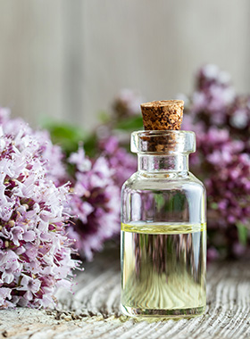 T&T Raj nagar extension