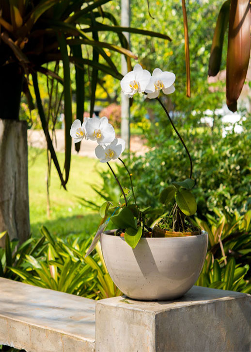 tandt raj nagar extension