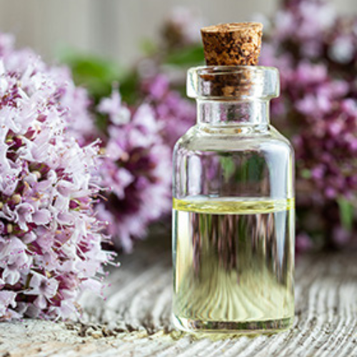 T&T RajNagar Extension