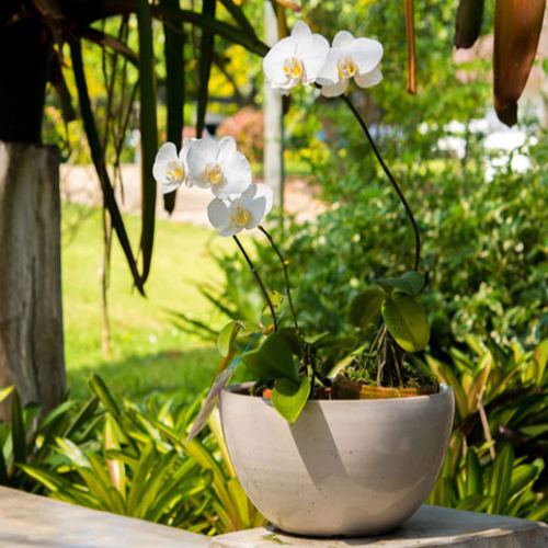 T&T RajNagar Extension